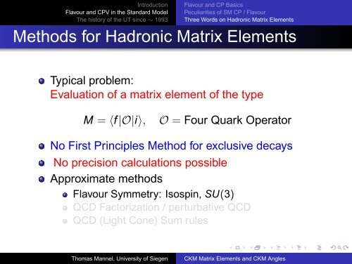 CKM Matrix Elements and CKM Angles - Theoretische Physik 1 ...