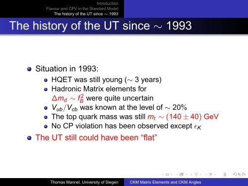 CKM Matrix Elements and CKM Angles - Theoretische Physik 1 ...