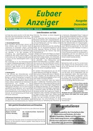 Eubaer Anzeiger - Euba im Internet