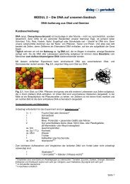 MODUL 2 – Die DNA auf unserem Esstisch