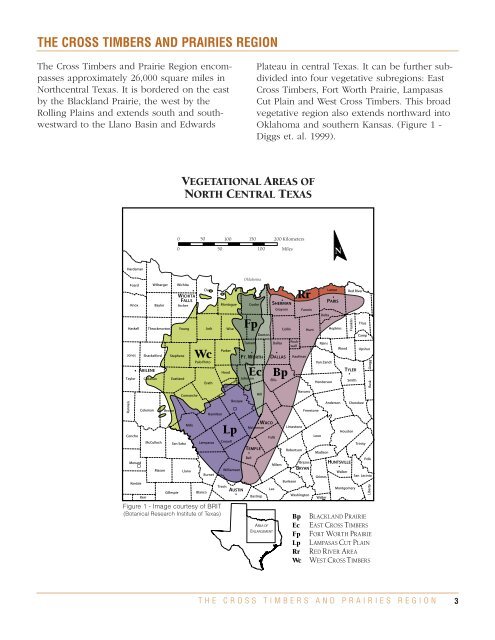 White-tailed Deer Food Habits and Preferences in the Cross Timbers
