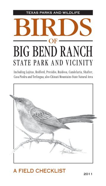 Birds of Big Bend Ranch State Park and Vicinity - Texas Parks ...