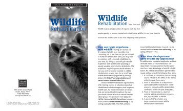 Wildlife Rehabilitation in Texas Brochure - Texas Parks & Wildlife ...