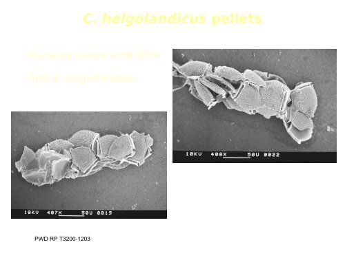 Golden Alga Workshop Summary Report - Texas Parks & Wildlife ...