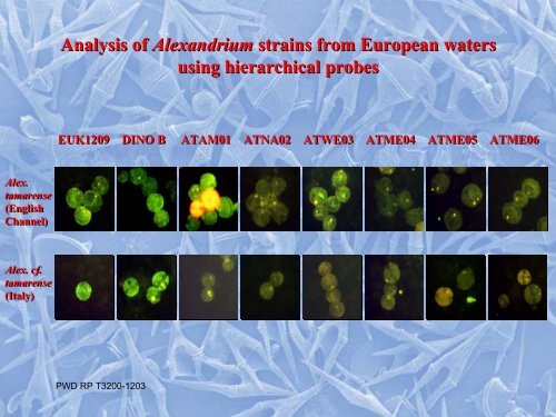 Golden Alga Workshop Summary Report - Texas Parks & Wildlife ...