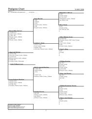 Pedigree Chart - Tracking Your Roots