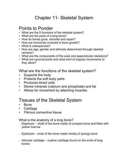 Chapter 11 Skeletal System Points To Ponder Tissues Of The Chapter 11 Skeletal System Points To Ponder Tissues Of The