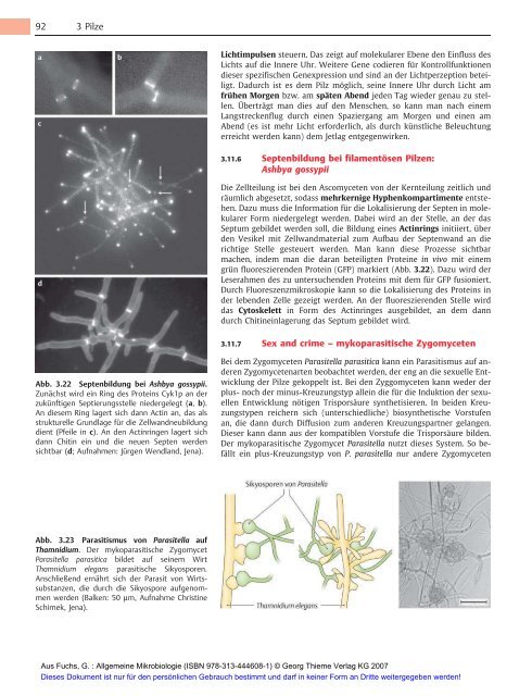 Allgemeine Mikrobiologie