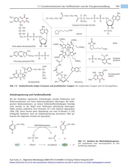 Allgemeine Mikrobiologie