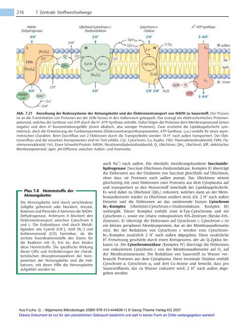 Allgemeine Mikrobiologie