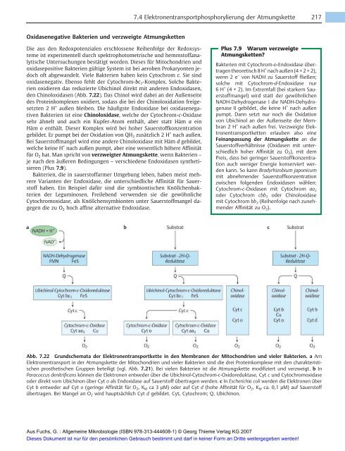 Allgemeine Mikrobiologie