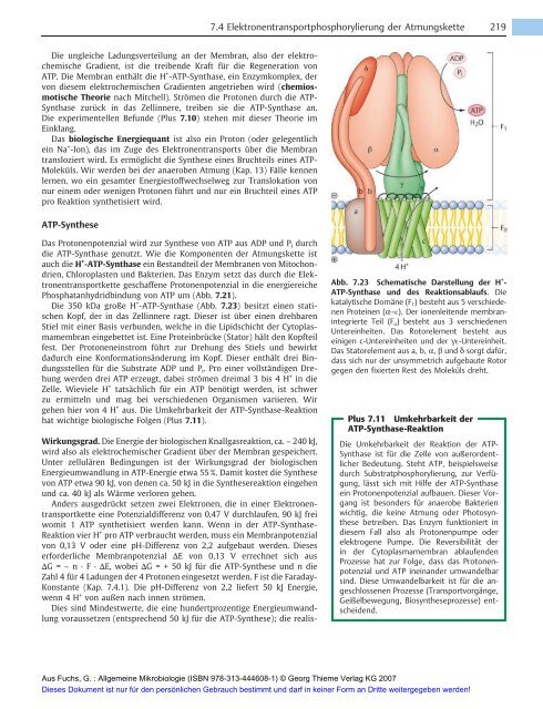 Allgemeine Mikrobiologie