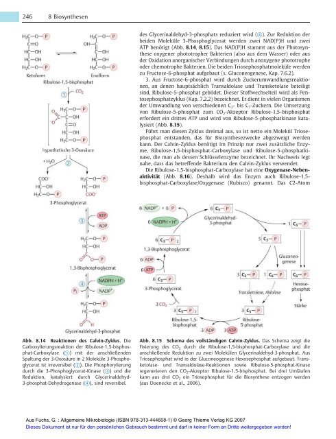 Allgemeine Mikrobiologie