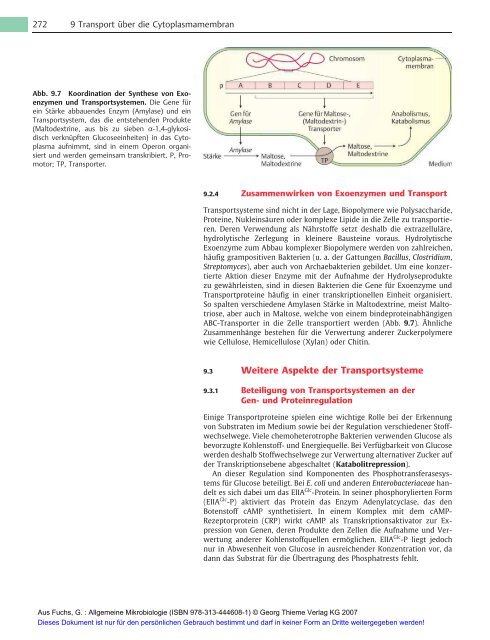 Allgemeine Mikrobiologie