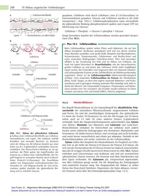 Allgemeine Mikrobiologie