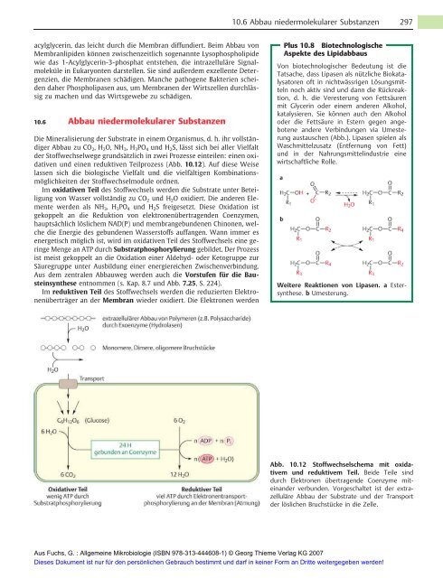 Allgemeine Mikrobiologie