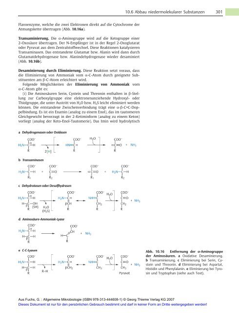 Allgemeine Mikrobiologie