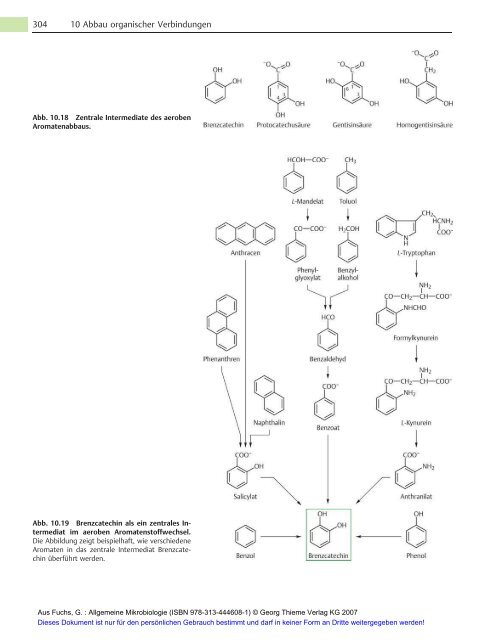 Allgemeine Mikrobiologie