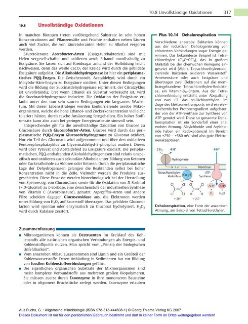 Allgemeine Mikrobiologie