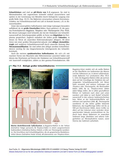 Allgemeine Mikrobiologie