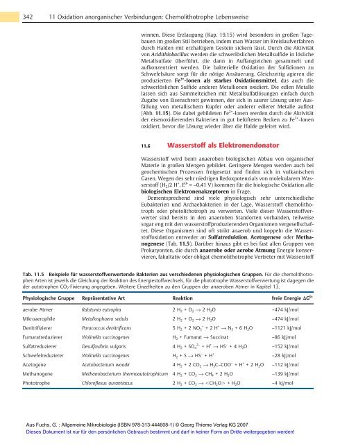 Allgemeine Mikrobiologie