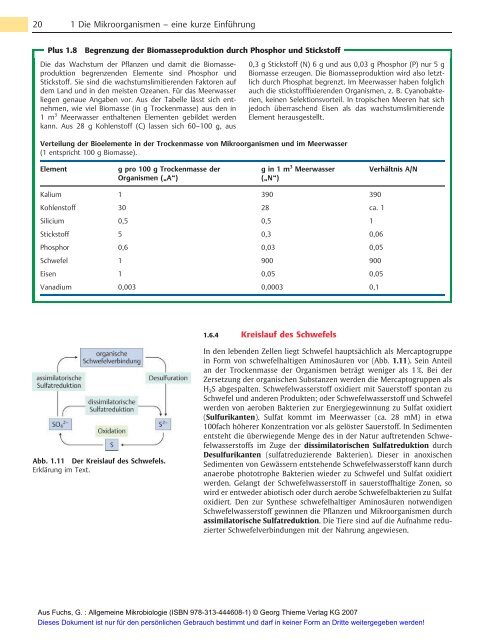 Allgemeine Mikrobiologie