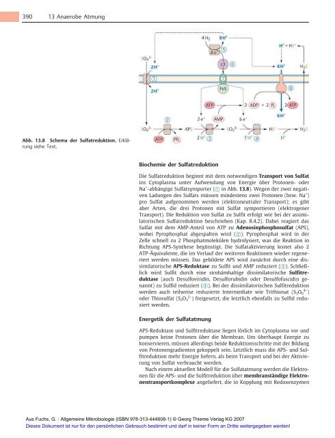 Allgemeine Mikrobiologie