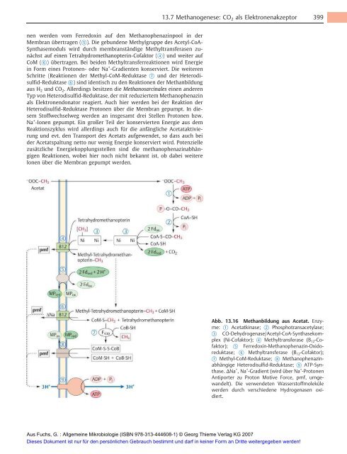 Allgemeine Mikrobiologie