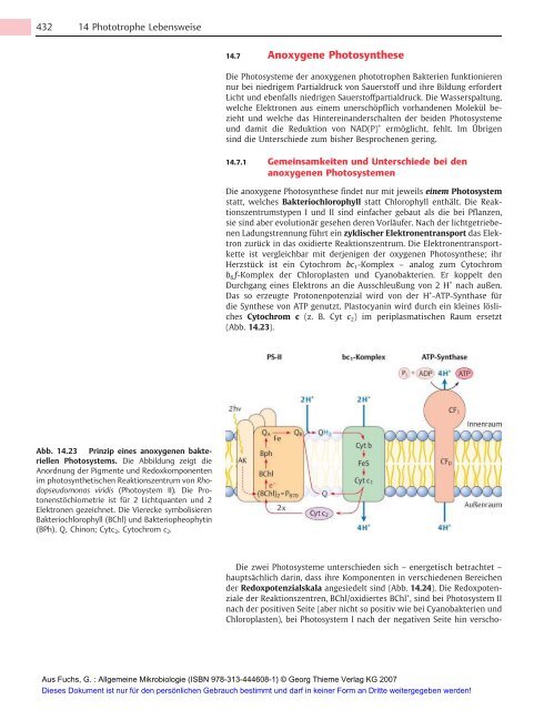 Allgemeine Mikrobiologie