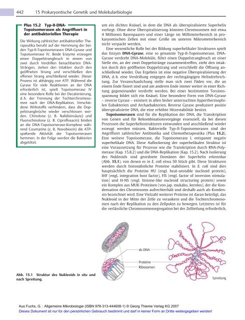 Allgemeine Mikrobiologie