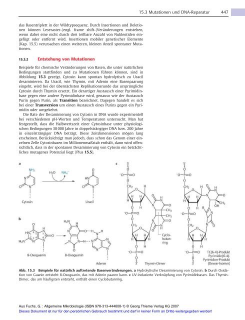 Allgemeine Mikrobiologie