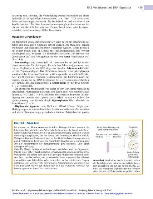 Allgemeine Mikrobiologie