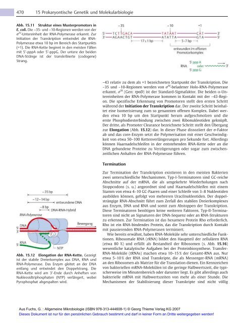 Allgemeine Mikrobiologie