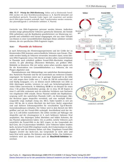 Allgemeine Mikrobiologie