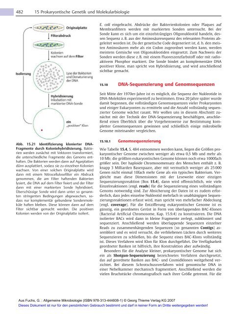 Allgemeine Mikrobiologie