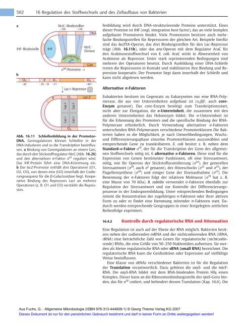 Allgemeine Mikrobiologie