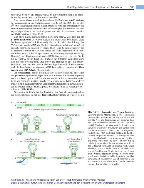 Allgemeine Mikrobiologie