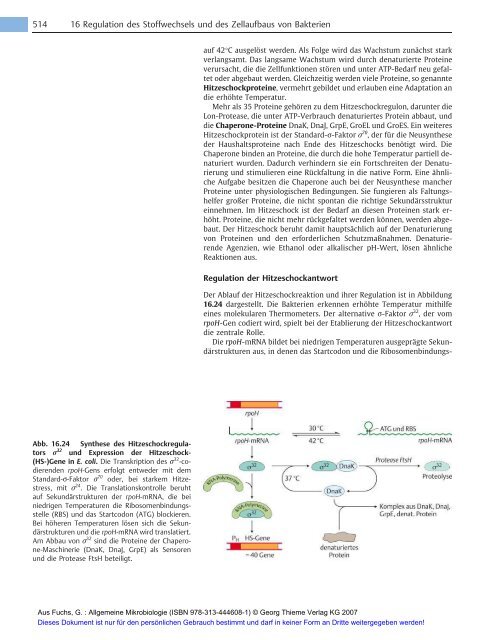 Allgemeine Mikrobiologie