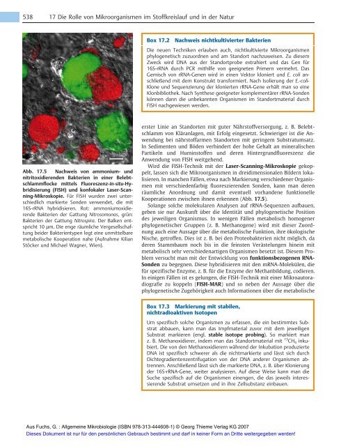 Allgemeine Mikrobiologie