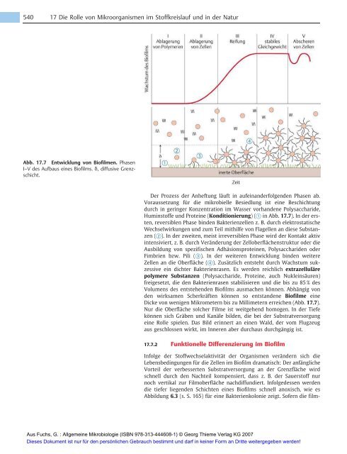 Allgemeine Mikrobiologie