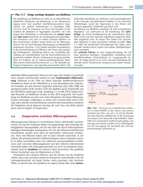 Allgemeine Mikrobiologie