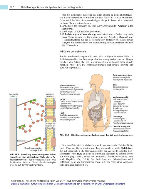 Allgemeine Mikrobiologie