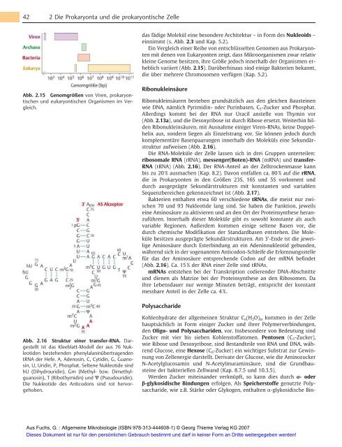 Allgemeine Mikrobiologie