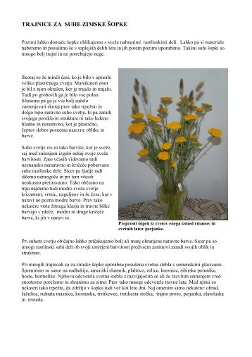 TRAJNICE ZA SUHE ZIMSKE Å OPKE - Trajnice Golob - KlanÄiÄ