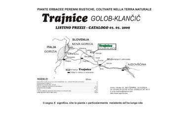 LISTINO PREZZI - CATALOGO 01. 01. 2009 - Trajnice Golob - KlanÄiÄ