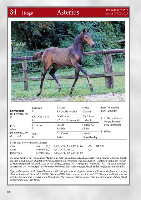 Hengstmarktkatalog (pdf) - Trakehner Verband