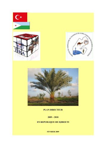 PLAN DIRECTEUR 2009 â 2018 EN REPUBLIQUE DE DJIBOUTI
