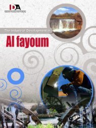 Industrial Development in Fayoum