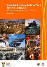 Industrial Policy Action Plan - Department of Environmental Affairs