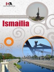 Industrial Development in Ismailia